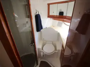 Thumbnail von Sunseeker Predator 56 SHAMMY