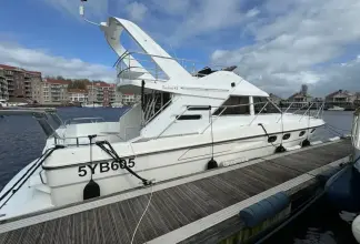 Thumbnail von Fairline 43