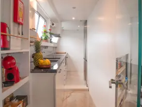 Thumbnail von Falcon 100