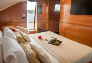 Thumbnail von Falcon 100