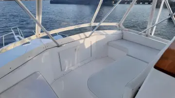 Thumbnail von Viking 47 Convertible