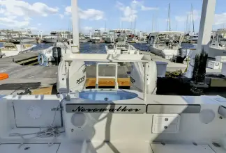 Thumbnail von Custom Val 35 Hollow Point