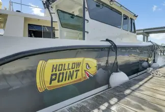 Thumbnail von Custom Val 35 Hollow Point