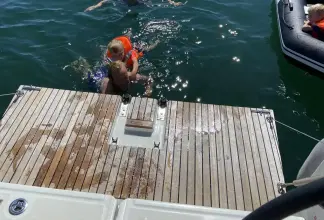 Thumbnail von Jeanneau Sun Odyssey 349 Venerable Penguin