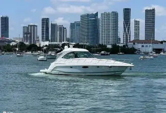 Thumbnail von Formula 45