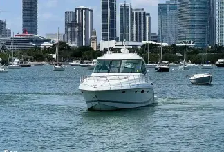 Thumbnail von Formula 45