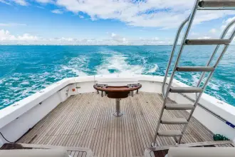 Thumbnail von Viking 46 Bill Fish Ram Slam