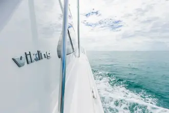 Thumbnail von Viking 46 Bill Fish Ram Slam