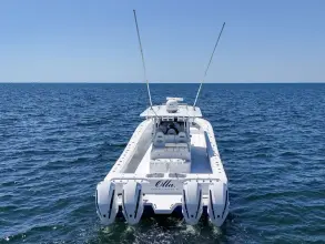 Thumbnail von Freeman 47