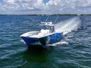 Thumbnail von Freeman 47