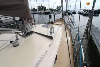 Thumbnail von Danish Rose 42