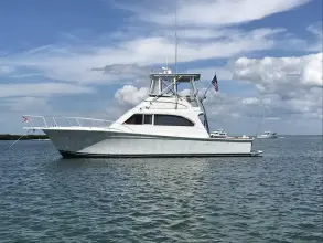 Thumbnail von Egg Harbor Golden Egg Convertible Bad to the Bone