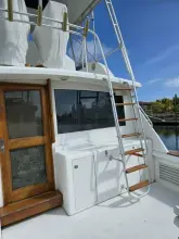 Thumbnail von Egg Harbor Golden Egg Convertible Bad to the Bone