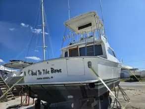 Thumbnail von Egg Harbor Golden Egg Convertible Bad to the Bone