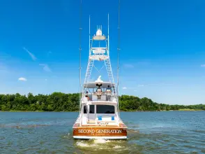 Thumbnail von Viking 68