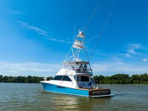 Thumbnail von Viking 68