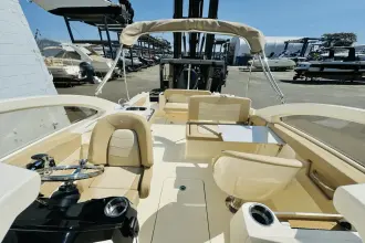 Thumbnail von Scout 240 Dorado