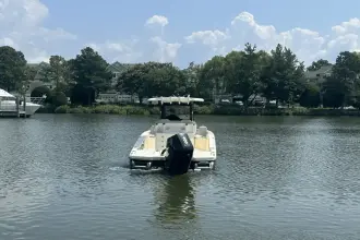 Thumbnail von Scout 261 XSS