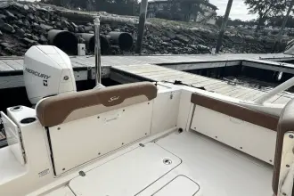 Thumbnail von Scout 240 Dorado