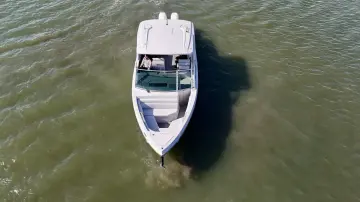 Thumbnail von Aviara 36