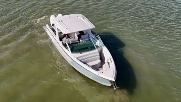 Thumbnail von Aviara 36