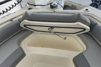 Thumbnail von Boston Whaler 230 Outrage