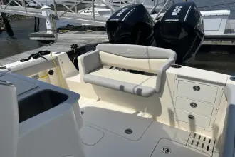 Thumbnail von Scout 305 LXF