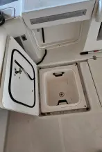 Thumbnail von Pursuit 3800 Express SUNBEAM