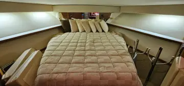 Thumbnail von Pursuit 3800 Express SUNBEAM