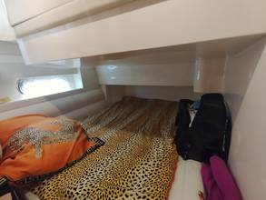 Thumbnail von Sealine F37