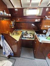 Thumbnail von ビル・トリップ・デ・ドッド 12.70m