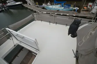 Thumbnail von Beneteau Swift Trawler 34 Olive