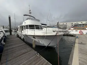 Thumbnail von Beneteau Swift Trawler 34 Olive