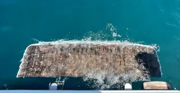 Thumbnail von Beneteau Gran Turismo 49