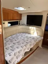 Thumbnail von Cranchi Smeraldo 37