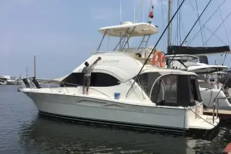 Thumbnail von Riviera 37 Flybridge 7692662