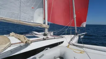 Thumbnail von Dragonfly 32 Supreme