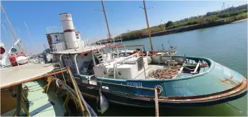 Thumbnail von Custom Ziegler Frers Tug