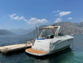 Thumbnail von Chaparral 310 Signature