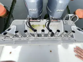 Thumbnail von Besenzoni 800 WA