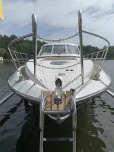 Thumbnail von Windy 43 Typhoon