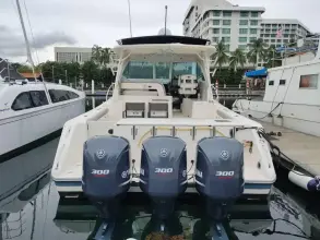 Thumbnail von Pursuit OS 385 8294890