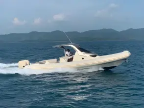 Thumbnail von Sacs Strider 11 LIMO