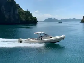 Thumbnail von Sacs Strider 11 LIMO