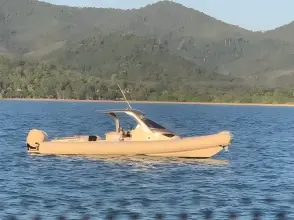 Thumbnail von Sacs Strider 11 LIMO