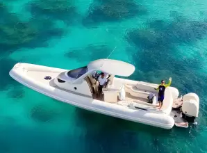 Thumbnail von Sacs Strider 11 LIMO