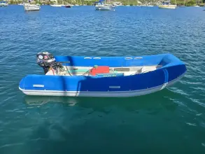 Thumbnail von Leopard 43 Powercat  Spy Hop II