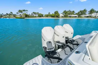 Thumbnail von Boston Whaler 350 Realm