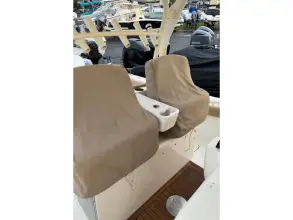 Thumbnail von Scout 350 LXF