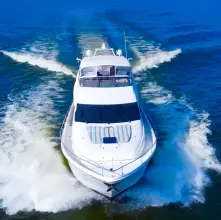 Thumbnail von Marquis 65